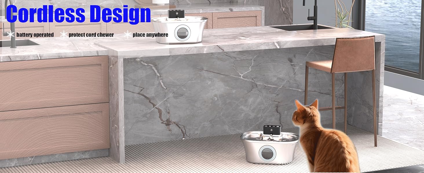 cat water fountain