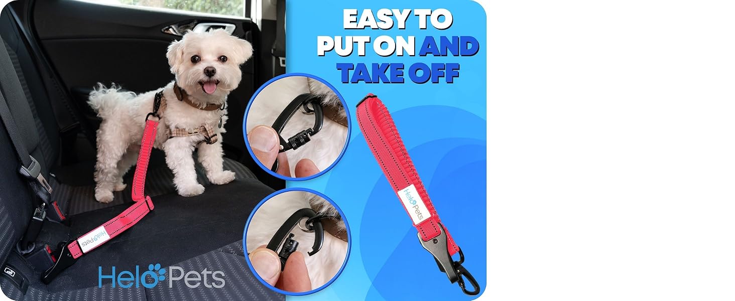 seatbelt for dogs in car