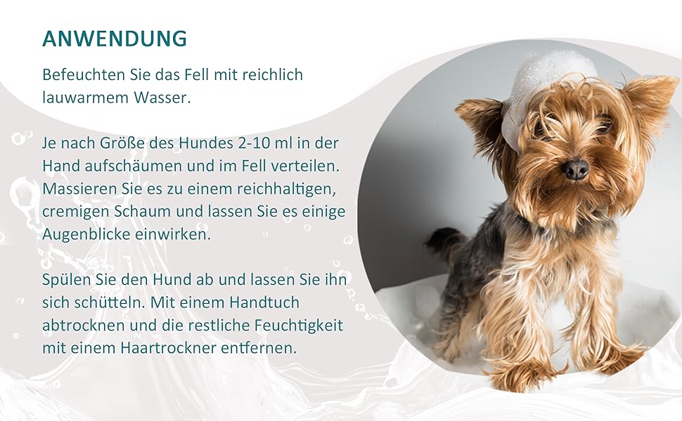 Fellpflege Hundesalon Profi Qualität Pflege Reinigung Conditioner Spülung Massage Boxer Dobermann