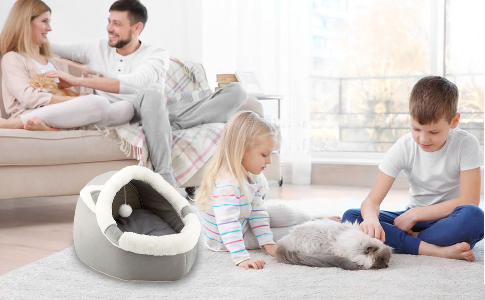 cat beds