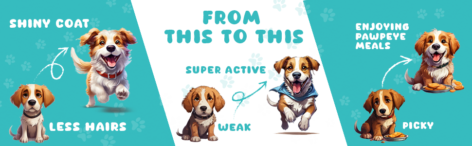 Pawpeye Dog Gravy benefits to be observed in pets. 
