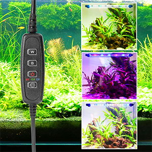 RGB-Weiß Licht LED Timer Aquariumbeleuchtung