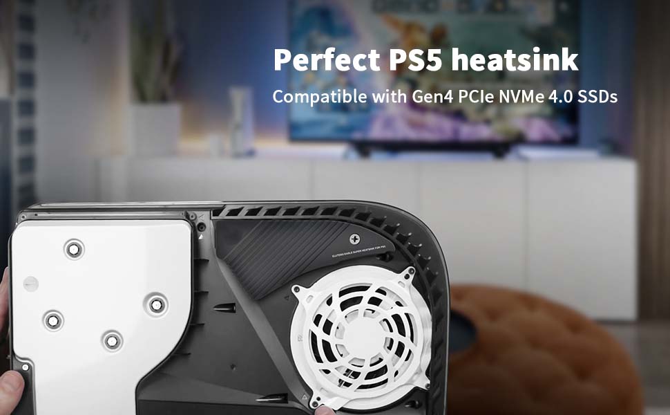 M.2 Heatsink for PS5, NVMe SSD Aluminum Heatsink with 4 Thermal Pads