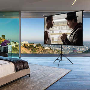 indoor projector screen