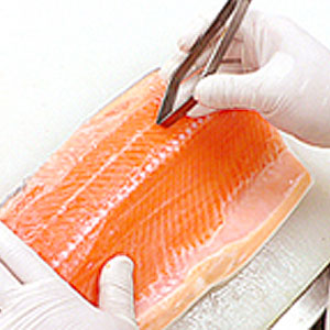 Small manufacture image 3