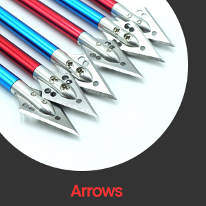 pistol crossbow arrow