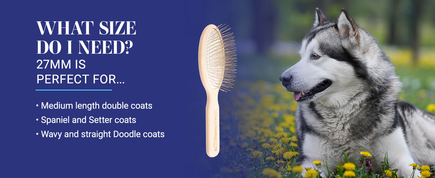 Chris Christensen Original Oval Pin Series - which size pins do I need for my dog?