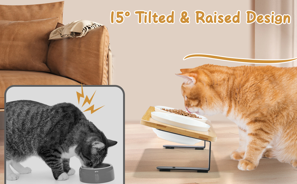 6" Elevated Cat Bowls Tilted Whisker Friendly Wide Ceramic