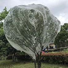 Small manufacture image 7