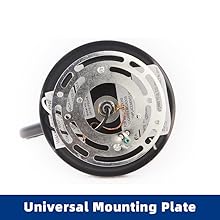 Outdoor Gooseneck Barn Light Fixture