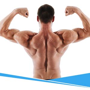 Muscle Building, Mass Gain