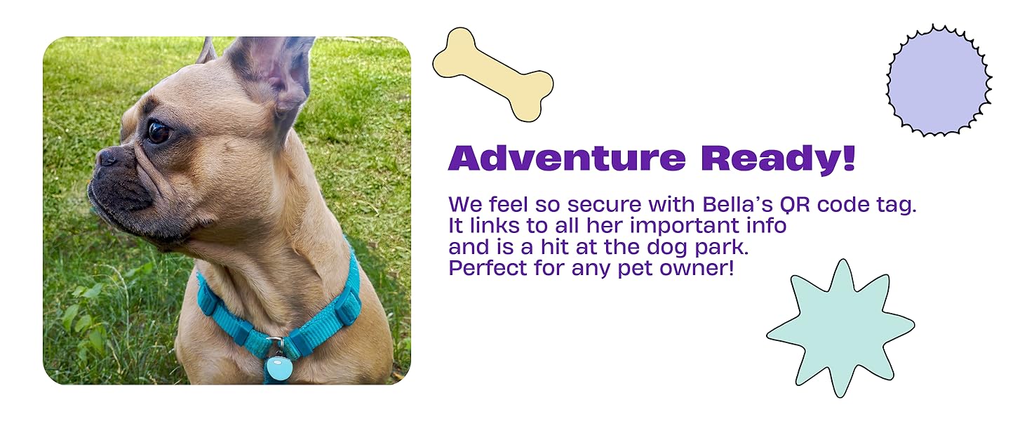 pet id tags for cats