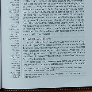 nkjv single-column format, easy to read bible text, study bible, bible for understanding Scripture