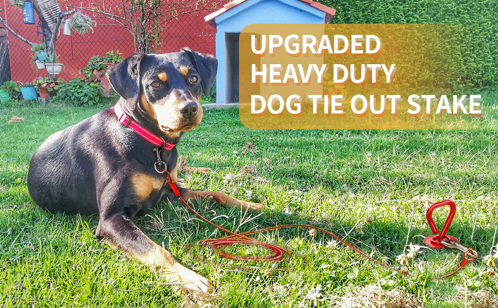 Dog Tie Out Stake, Dog Stake for Yard Heavy Duty, Dog Anchor Spike for