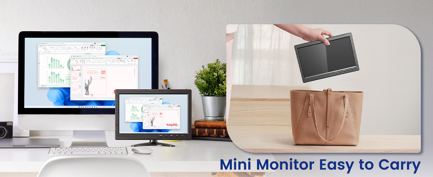 mini monitor