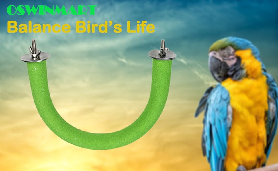 2Pcs 7.9Inch Green U Shape Roughsurfaced Sands Stick Bird