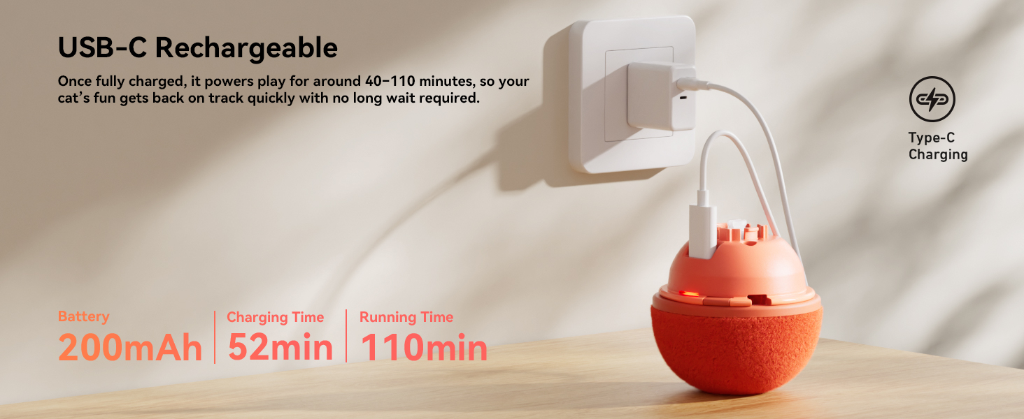 cat toys interactive