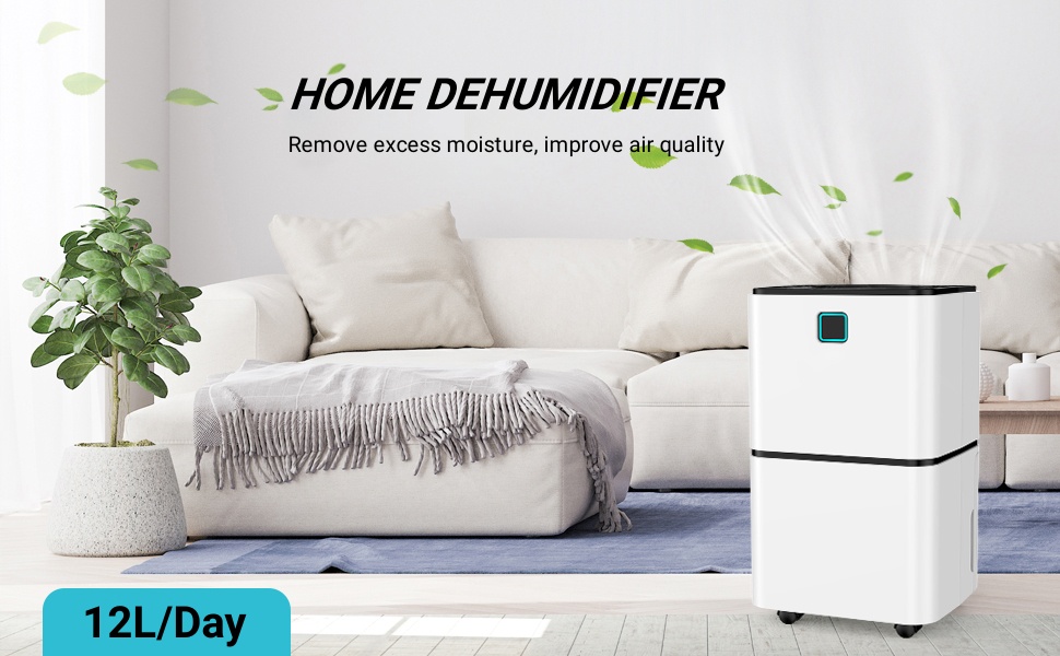 12L Dehumidifier for Home, Low Energy Dehumidifiers with Laundry