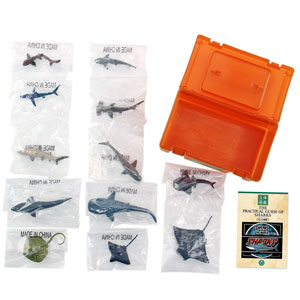 Amazon | カロラータ 立体図鑑 サメの仲間 フィギュア (12種