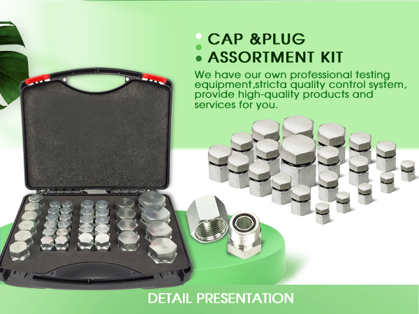 Amazon.com: Pikwo 72Pcs JIC 37° Flare Cap and Plug Kit Hose