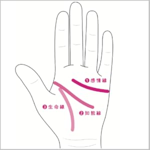 専用ページとなります。手相鑑定書 A14uIlZdC7L._UF350,350_QL50_.jpg