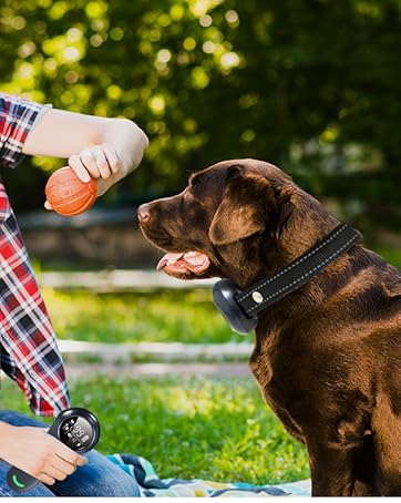 Aniparty 2-in-1 Dog Shock & Bark Collar