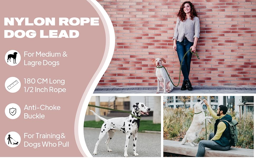 Fida Slip Rope Dog Lead 10 dog leads slip rope
