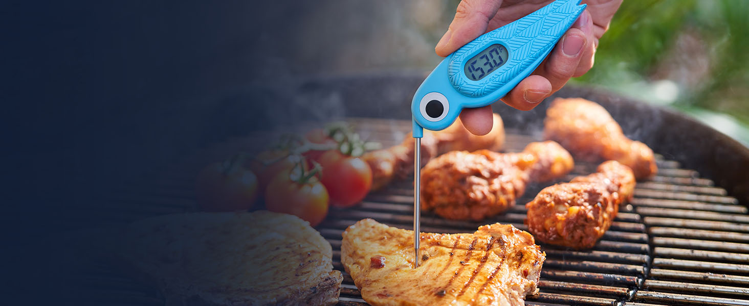 Home Hero Hummingbird Meat Thermometer 