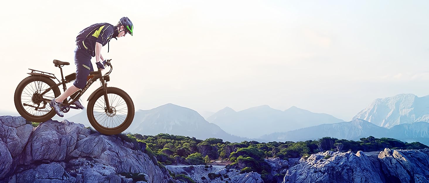 ebike