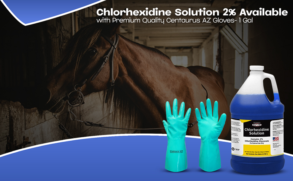 Centaurus AZ First Priority Care CHLORHEXIDINE Solution 2