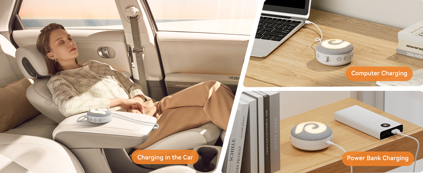 charging in the car : charging in the car