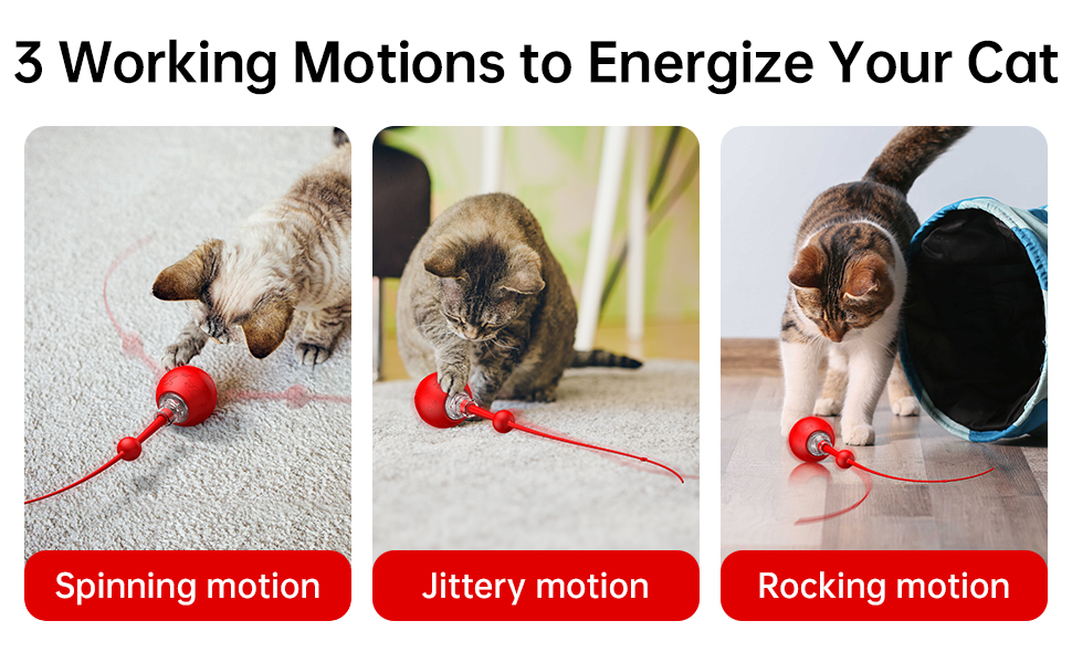 3 Working Motions to Energize Your Cat