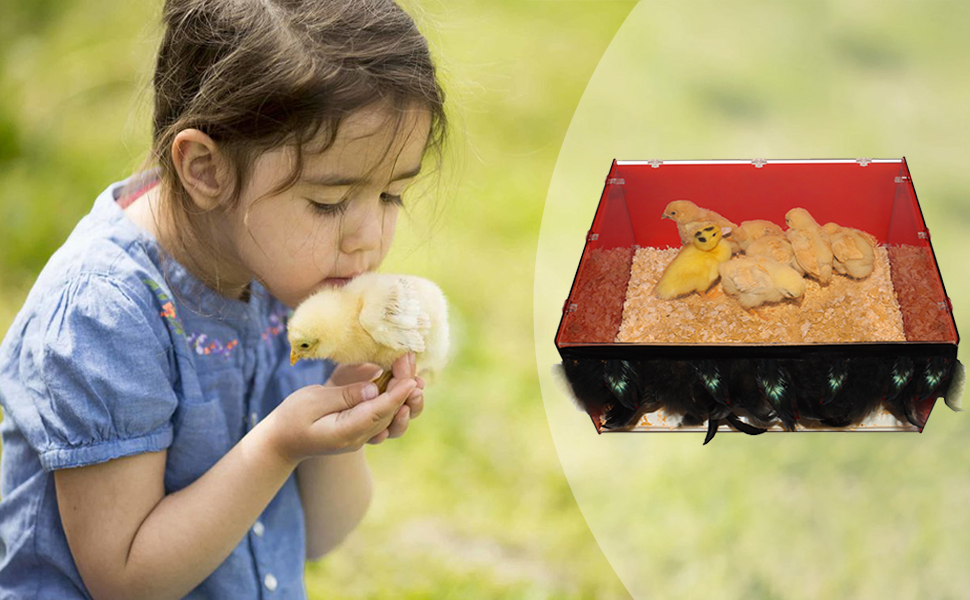 HHXRISE Chick Brooder Brooding Box, Brooder Heater with Adjustable Temperature and