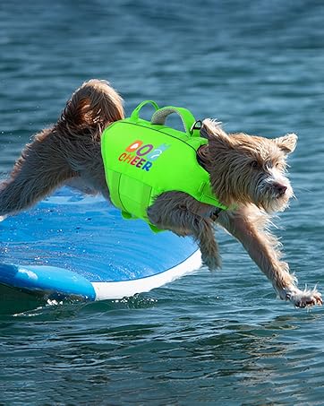 dog flotation vest