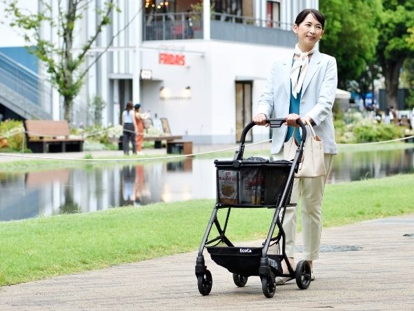 エコカ　エクセラ　定価33,800円 Amazon｜EcoCa エコカエクセラ 【保冷バッグセット