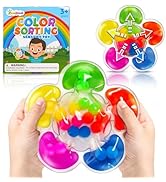 Color Sorting Toys Sensory Toys, Fine Motor Skills Game for Toddlers, Color Matching Preschool Le...