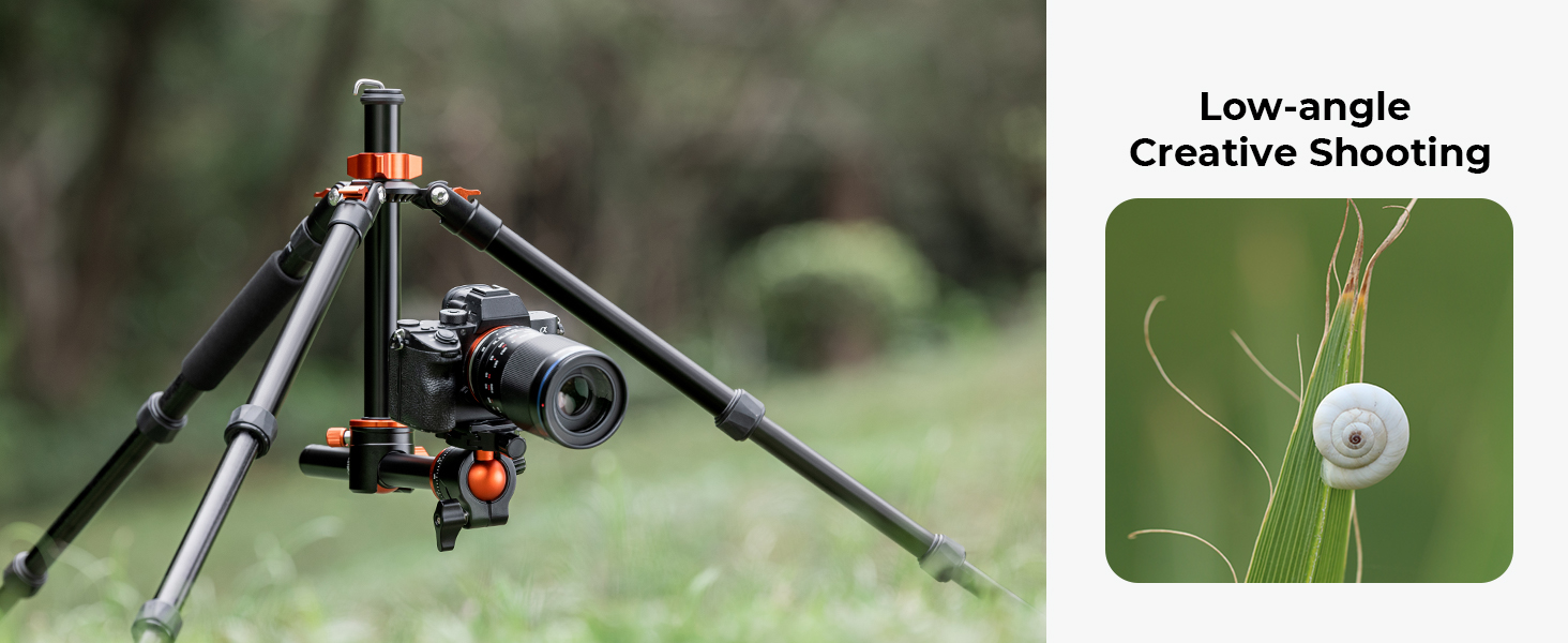 camera tripod