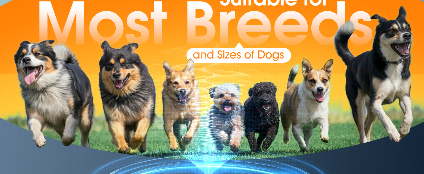 anti barking device for dogs