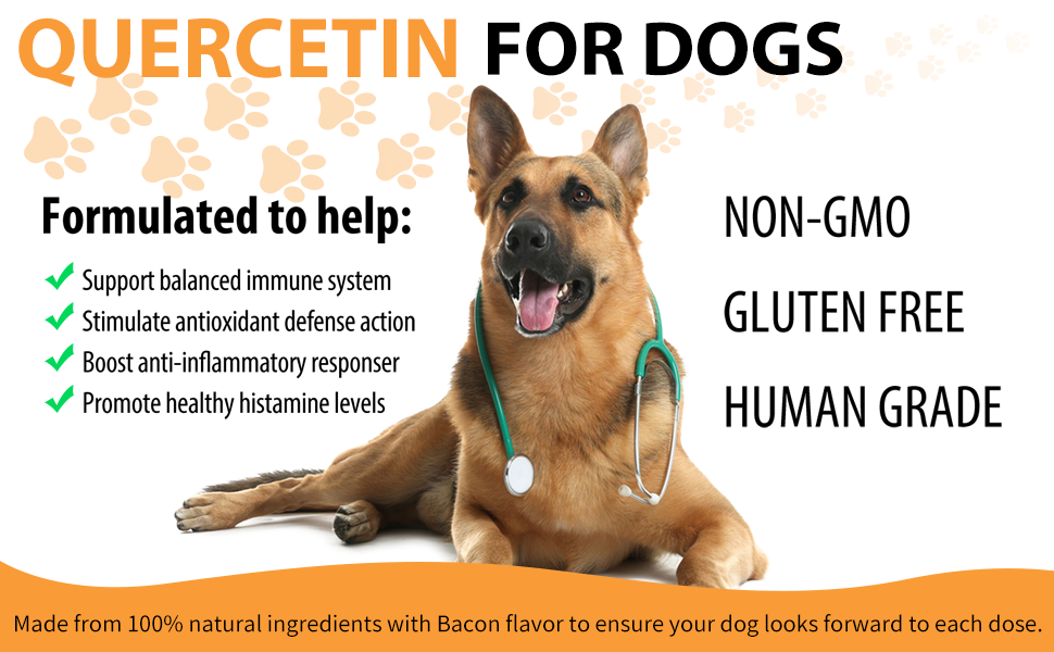 Amazon.com : Quercetin for Dogs (2.02 Oz), Quercetin with Vitamin C - Best Allergy And Immune Support For Dogs