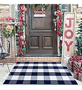 KILOCOCO Buffalo Plaid Checkered Rug - 27.5x43 Inches Front Door Mat Outdoor,Blue and White Outdo...