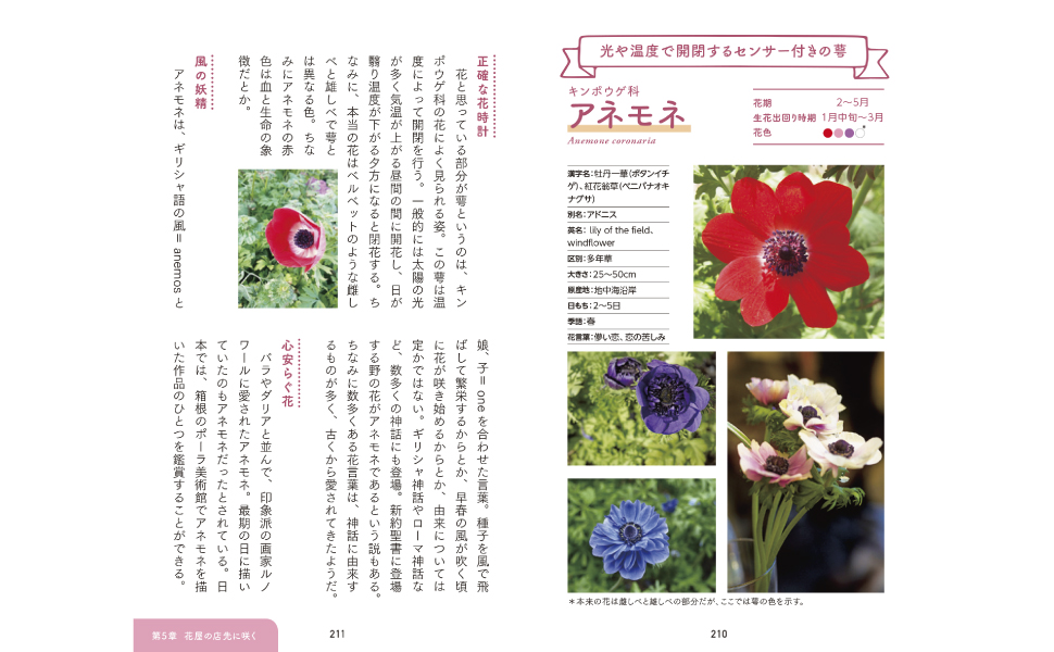 散歩が楽しくなる花の手帳 稲垣栄洋 本 通販 Amazon 散歩が楽しくなる花の手帳 稲垣栄洋 本 通販 Amazon