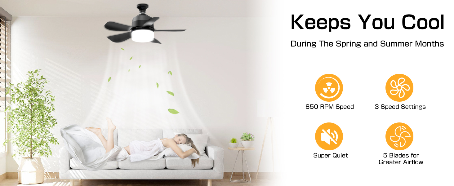 ceiling fan