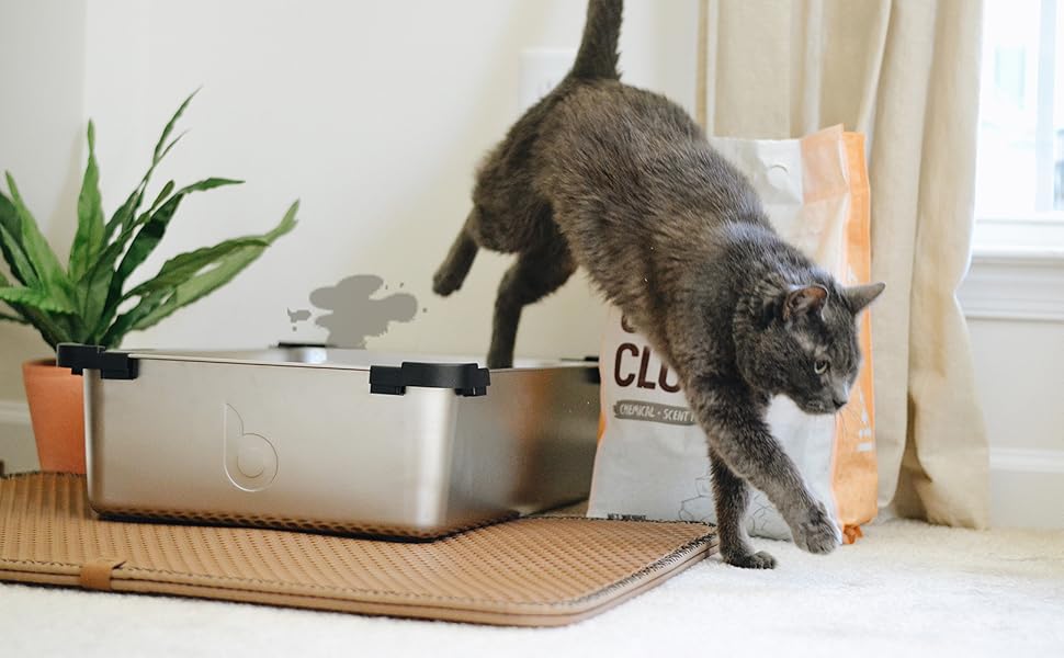 Cat Litter Box Pee Shields, Easy Clean Frosted Cat Litter