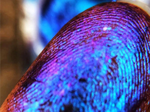 Small manufacture image 8