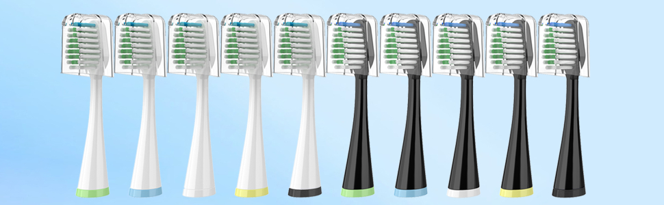aquasonic duo toothbrush replacement heads