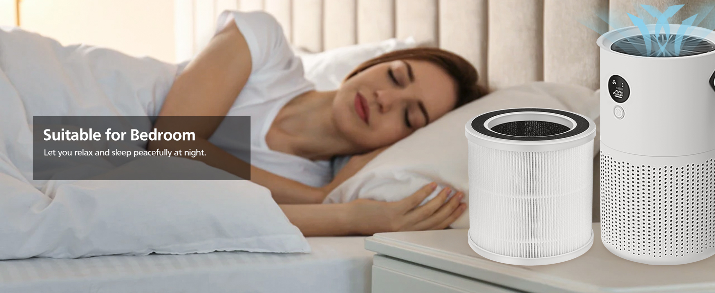 2 Pack True HEPA Replacement Filters ONLY Compatible with