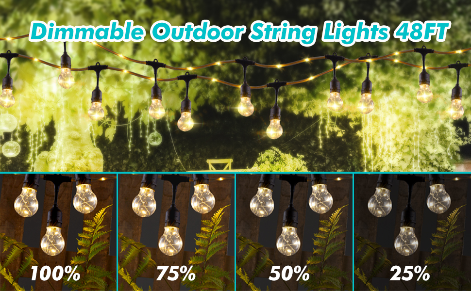 GLSbuld 48FT Outdoor String Lights with Twinkle Stand, LED Colorful