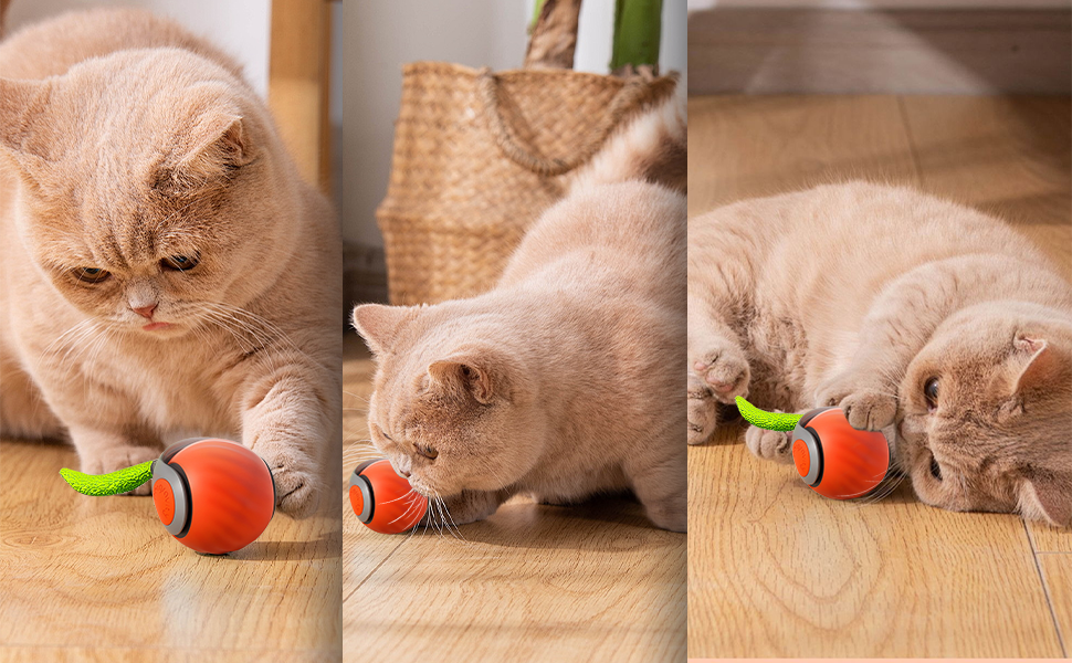 Interactive Cat Toy Balls