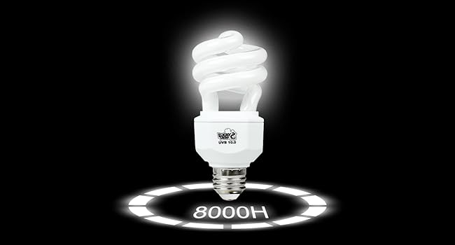 Beleuchtete spiralförmige Kompaktleuchtstofflampe auf schwarzem Hintergrund. Textüberlagerung: '8000H', wurde auf eine lange Lebensdauer hingewiesen
