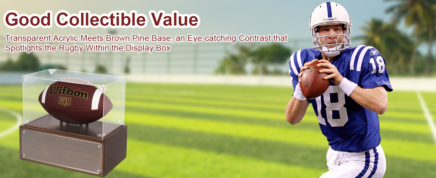 Football Display Holder